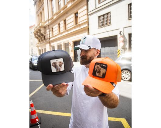 Kšiltovka Goorin - Trucker - The Big Elephant - Grey