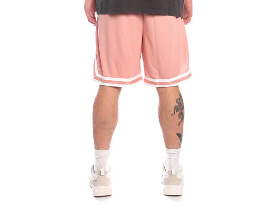 Small Signature Essential Mesh Shorts
