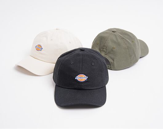 Dickies Hardwick BLK Black Cap
