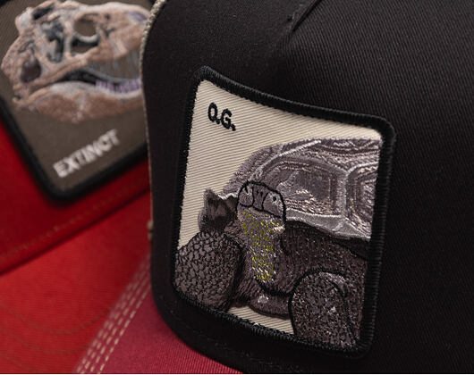 Cap Goorin - Tricolor Tortiouse - Multi Color