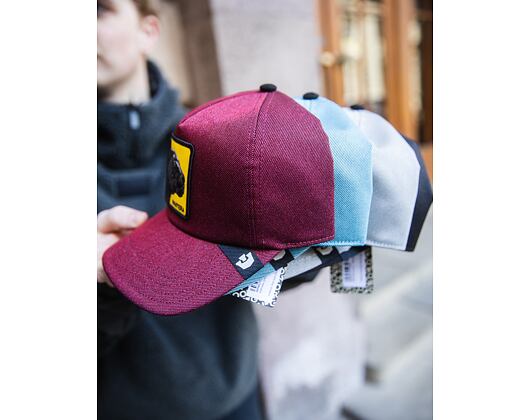 Cap Goorin - Next Gen Raven - Dust