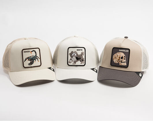 Cap Goorin - The Cancelled Skull - Multi Color