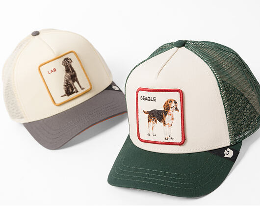 Cap Goorin - Shadow Beagle - Chalk