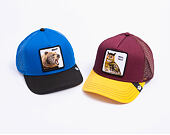 Goorin - The Real Talk Owl