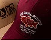 Cap Picture - Wakopa - Cabernet