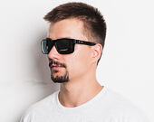 Oakley Holbrook Polished Black/Prizm Black OO9102-E155 Sunglasses