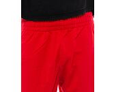 Kraťasy New Era NBA Washed Pack Team Logo Short - Chicago Bulls - Red
