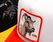 Cap Goorin - He's Him - Dust / Blaze