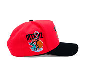Cap Mitchell & Ness - In The City - NBA - Miami Heat - Pink