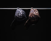 Womens Cap New Era - MLB Cosy Leopard 9FORTY - NY Yankees - Deep Auburn / Black