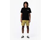 Dickies Pelican Rapids Olive Lanzones Shorts