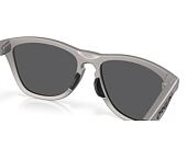 Sluneční Brýle Oakley - Frogskins Range - Prizm Black Polar / Titanium