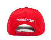 Mitchell & Ness - Florida Panthers - Team Ground 2.0 Pro Snapback - Red