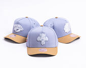 Cap Mitchell & Ness  - NHL Frosted Peak - Pro Pinch Snapback - Florida Panthers - Blue/Green