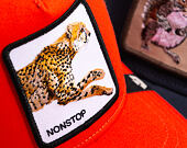 Kids Cap Goorin - The Nonstop Cheetah Mini - Blaze