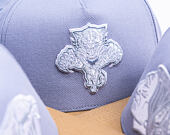 Cap Mitchell & Ness  - NHL Frosted Peak - Pro Pinch Snapback - Florida Panthers - Blue/Green