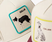 Cap Goorin - Shadow Border Collie - Scout