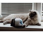 Santa Cruz Classic Hand Mesh Cap White/Black