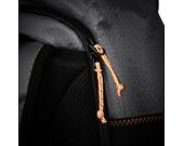 Aevor Trip Pack Proof Proof Sundown Backpack