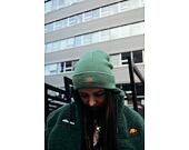 Dickies Gibsland Beanie C97