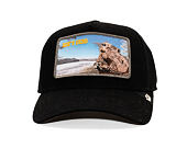 Kšiltovka Goorin - Morning Wood - Dark Denim