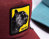 Cap Goorin - Next Gen Panther - Crush