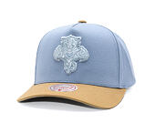 Cap Mitchell & Ness  - NHL Frosted Peak - Pro Pinch Snapback - Florida Panthers - Blue/Green