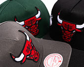 Cap Mitchell & Ness  - NBA Born To Win - Pro Pinch Snapback - Chicago Bulls - Grey