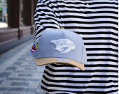 Cap Mitchell & Ness  - NHL Frosted Peak - Pro Pinch Snapback - Nashville Predators - Blue/Green