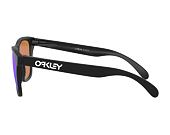 Oakley Frogskins Matte Black/Prizm Violet OO9013-H655 Sunglasses