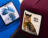 Goorin - Tricolor Owl