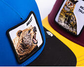 Goorin - The Beast Bear