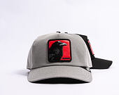 Cap Goorin - Next Gen Raven - Dust