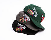 Cap Mitchell & Ness  - NBA Born To Win - Pro Pinch Snapback - Chicago Bulls - Grey