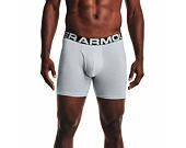 Under Armour Charged Cotton 6in 3 Pack Briefs