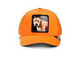 Kšiltovka Goorin - The Dog Pitbull - Orange