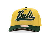 Kšiltovka Mitchell & Ness - Harvest Gold Pro Crown - Chicago Bulls - Gold/Green