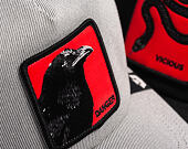 Cap Goorin - Next Gen Raven - Dust