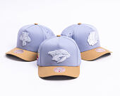 Cap Mitchell & Ness  - NHL Frosted Peak - Pro Pinch Snapback - Nashville Predators - Blue/Green