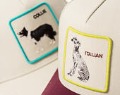 Cap Goorin - Shadow Italian Greyhound - Scout