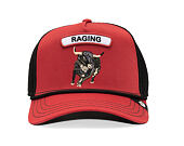 Cap Goorin - GB2 Raging Bull - Solar