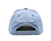 Cap Mitchell & Ness  - NHL Frosted Peak - Pro Pinch Snapback - Florida Panthers - Blue/Green
