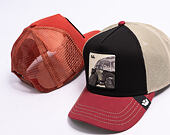 Cap Goorin - Tricolor Tortiouse - Multi Color