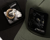 Cap Goorin - Panther Trucker Mini - Palm