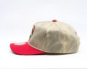 Cap Mitchell & Ness - NHL Retro Roots Deadstock - Florida Panthers - Cream