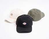 Dickies Hardwick BLK Black Cap