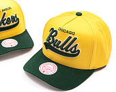 Kšiltovka Mitchell & Ness - Harvest Gold Pro Crown - Chicago Bulls - Gold/Green