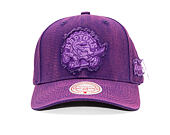 Cap Mitchell & Ness - NBA Downtown Pro Snapback Hwc - Toronto Raptors - Purple
