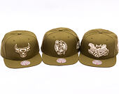 Cap Mitchell & Ness - NBA Fashion Basic Snapback Hwc - Charlotte Hornets - Olive