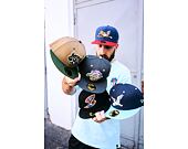 Cap New Era - MiLB Theme Nights 59FIFTY - Hudson Valley Renegades - Team Color